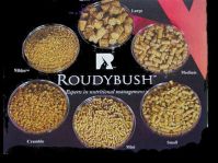 Roudybush Daily Maintenance Half Pound (Maintenance .5 Lb Choose Pellet Size: Nibbles)